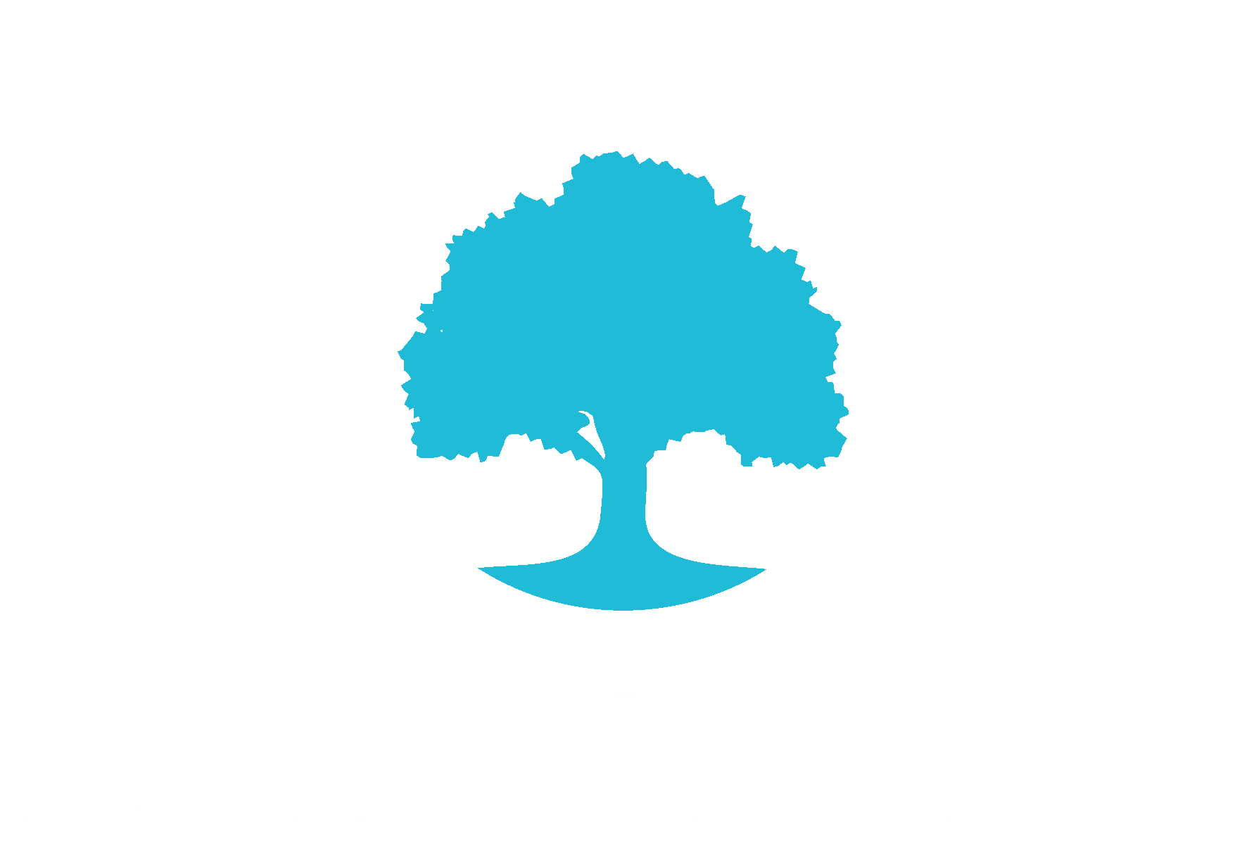 ELM Advisory Group Logo